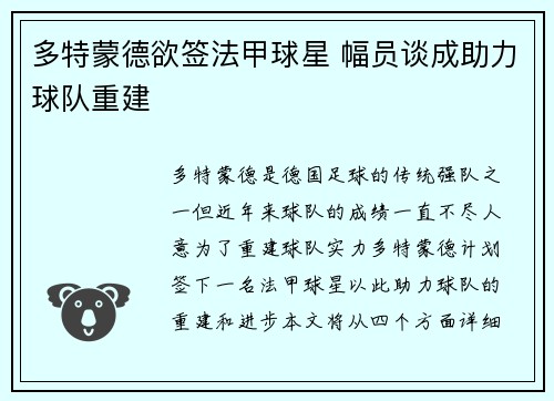 多特蒙德欲签法甲球星 幅员谈成助力球队重建