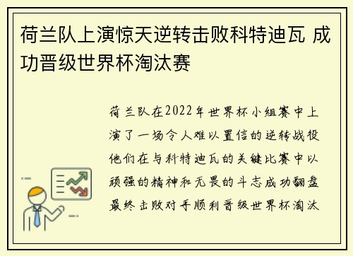 荷兰队上演惊天逆转击败科特迪瓦 成功晋级世界杯淘汰赛