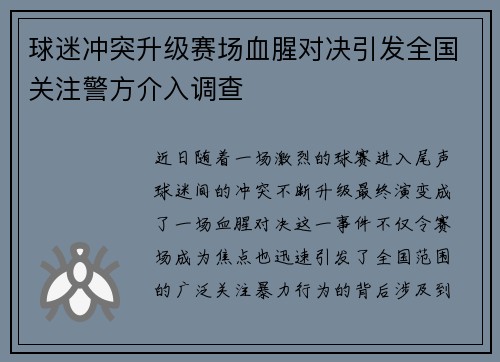 球迷冲突升级赛场血腥对决引发全国关注警方介入调查